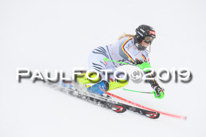 FIS  NJC Slalom Damen 26.01.2019