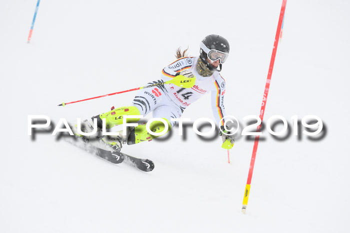 FIS  NJC Slalom Damen 26.01.2019