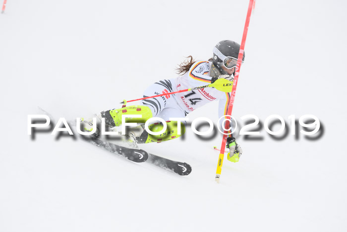 FIS  NJC Slalom Damen 26.01.2019