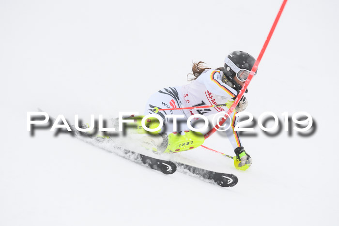 FIS  NJC Slalom Damen 26.01.2019