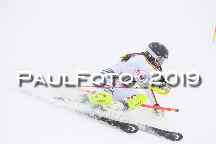 FIS  NJC Slalom Damen 26.01.2019