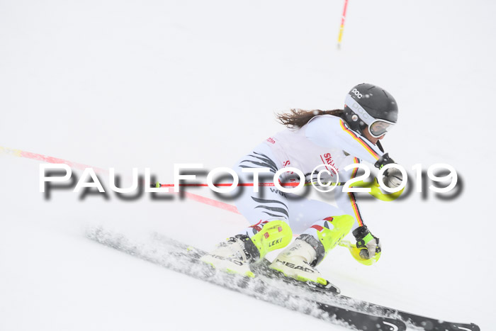 FIS  NJC Slalom Damen 26.01.2019