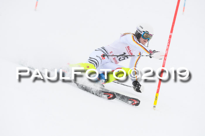 FIS  NJC Slalom Damen 26.01.2019