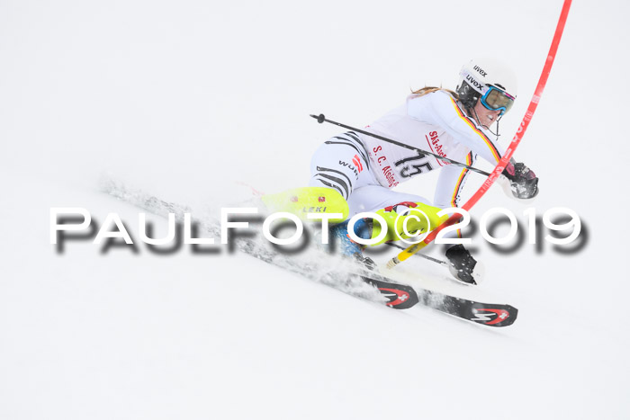 FIS  NJC Slalom Damen 26.01.2019