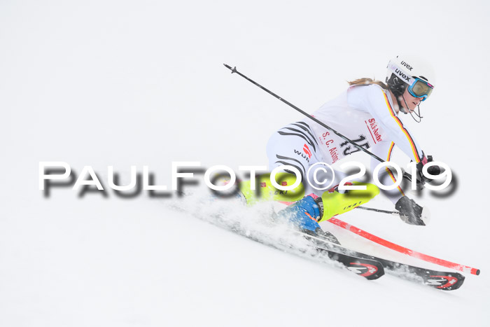 FIS  NJC Slalom Damen 26.01.2019
