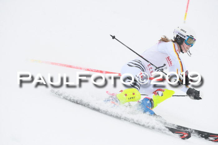 FIS  NJC Slalom Damen 26.01.2019