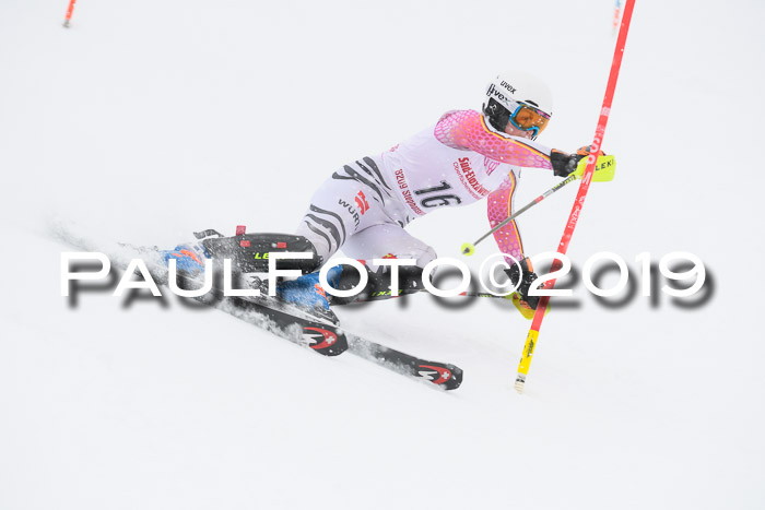 FIS  NJC Slalom Damen 26.01.2019