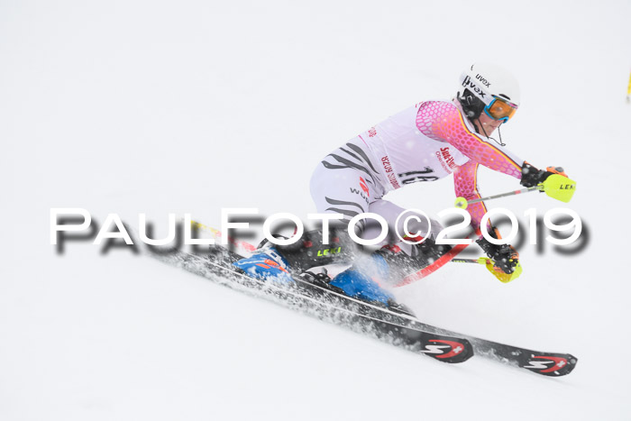 FIS  NJC Slalom Damen 26.01.2019