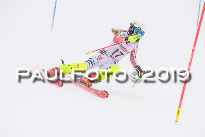 FIS  NJC Slalom Damen 26.01.2019