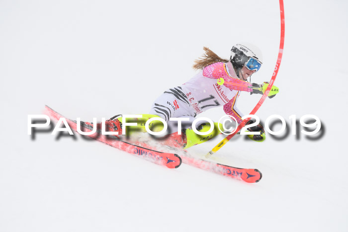 FIS  NJC Slalom Damen 26.01.2019
