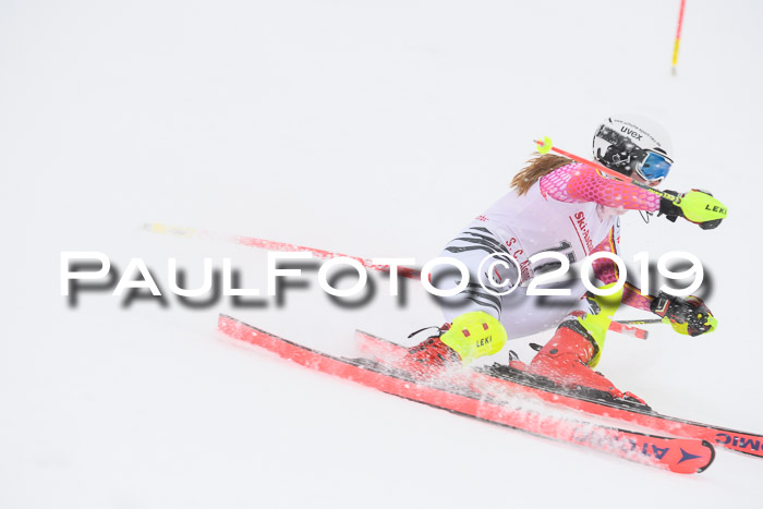 FIS  NJC Slalom Damen 26.01.2019
