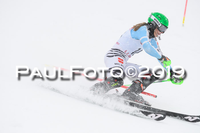 FIS  NJC Slalom Damen 26.01.2019