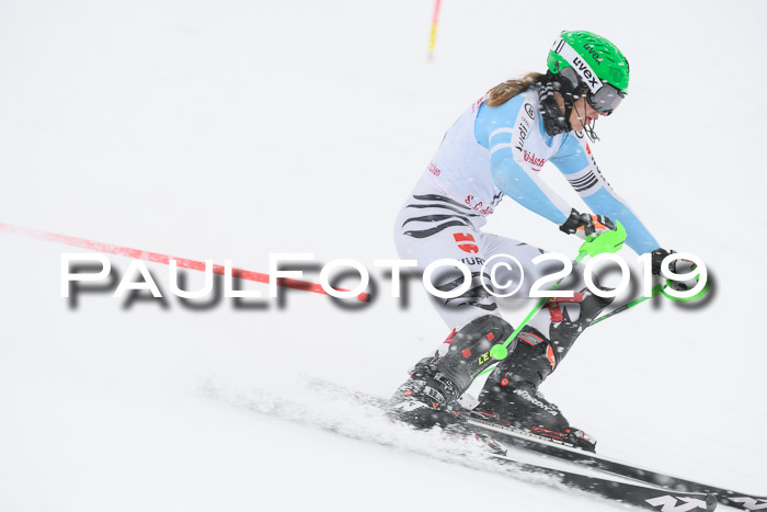 FIS  NJC Slalom Damen 26.01.2019