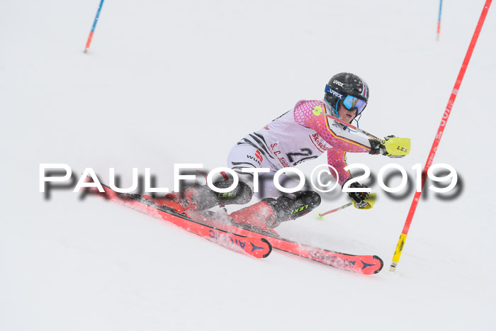FIS  NJC Slalom Damen 26.01.2019