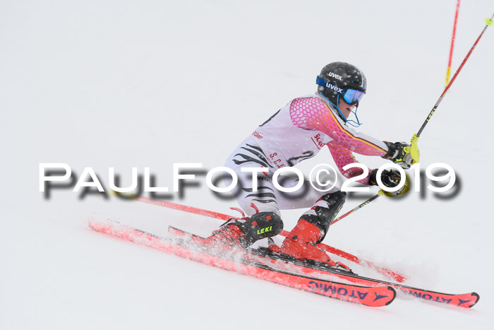 FIS  NJC Slalom Damen 26.01.2019