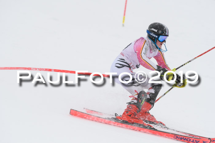 FIS  NJC Slalom Damen 26.01.2019