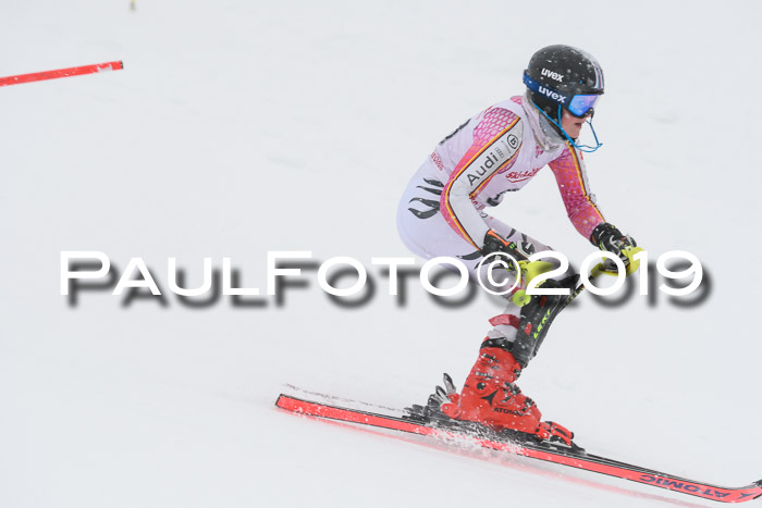 FIS  NJC Slalom Damen 26.01.2019
