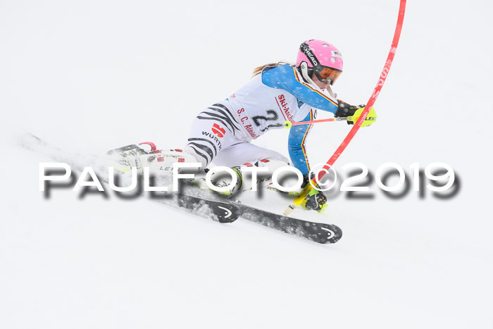 FIS  NJC Slalom Damen 26.01.2019