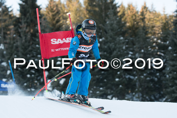 4. Ziener Cup WF, 27.01.2019