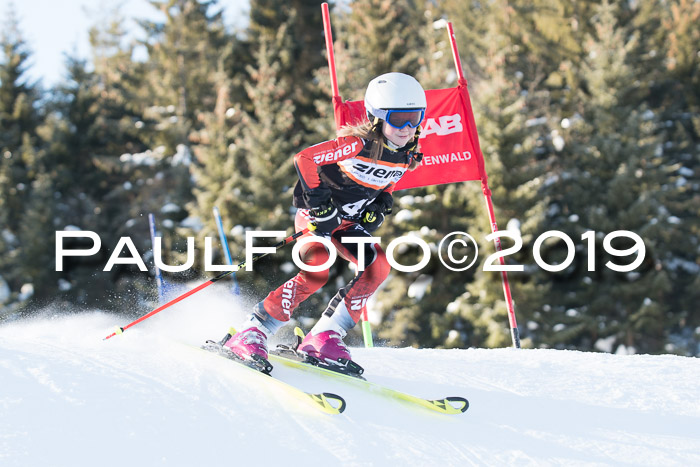 4. Ziener Cup WF, 27.01.2019