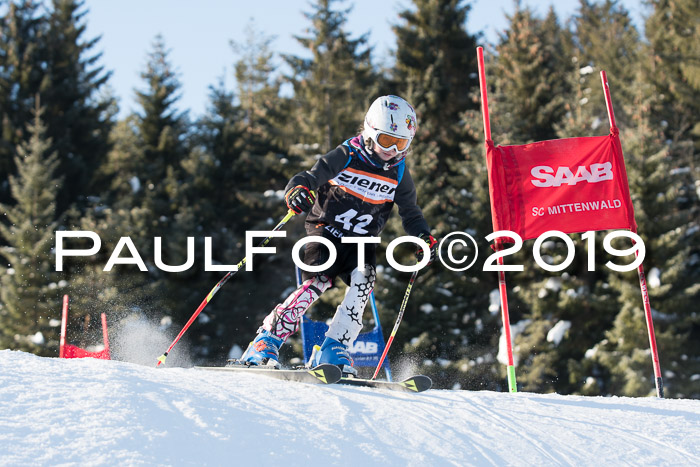 4. Ziener Cup WF, 27.01.2019