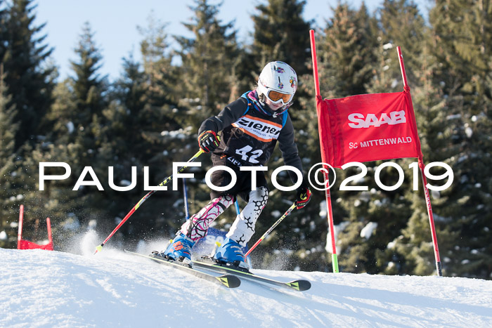 4. Ziener Cup WF, 27.01.2019