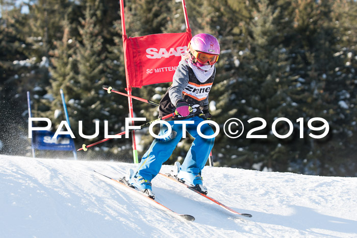 4. Ziener Cup WF, 27.01.2019