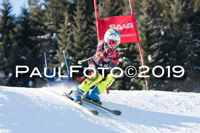 4. Ziener Cup WF, 27.01.2019