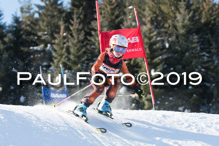 4. Ziener Cup WF, 27.01.2019