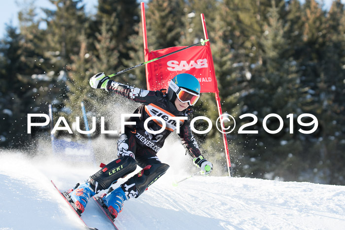 4. Ziener Cup WF, 27.01.2019