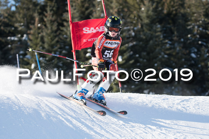 4. Ziener Cup WF, 27.01.2019