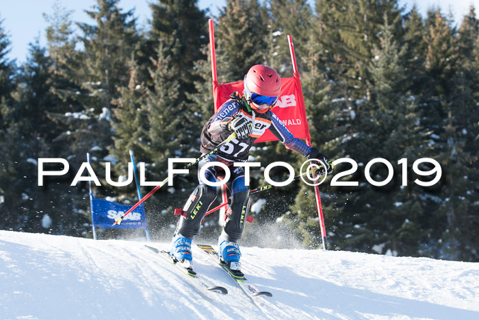 4. Ziener Cup WF, 27.01.2019
