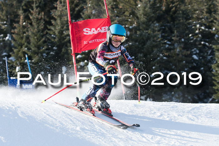 4. Ziener Cup WF, 27.01.2019
