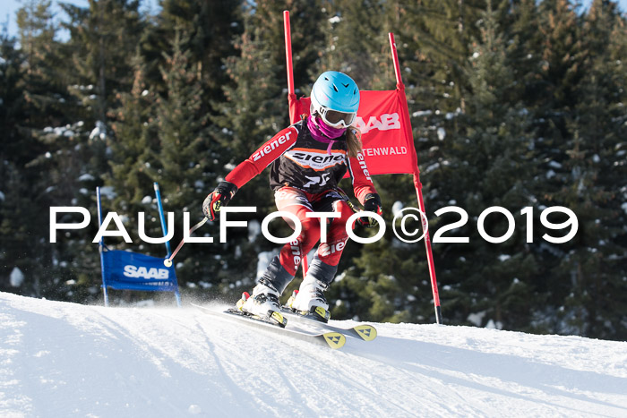 4. Ziener Cup WF, 27.01.2019