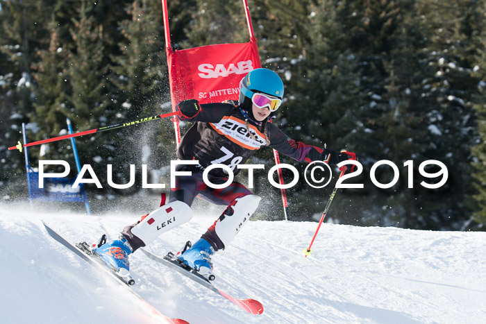 4. Ziener Cup WF, 27.01.2019
