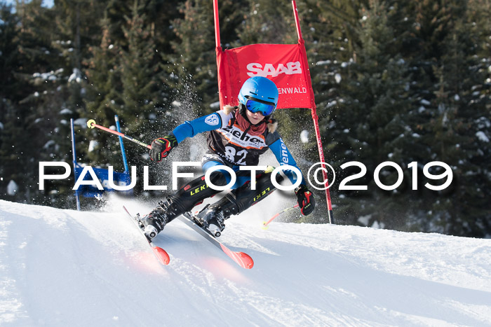 4. Ziener Cup WF, 27.01.2019