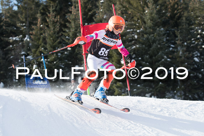 4. Ziener Cup WF, 27.01.2019