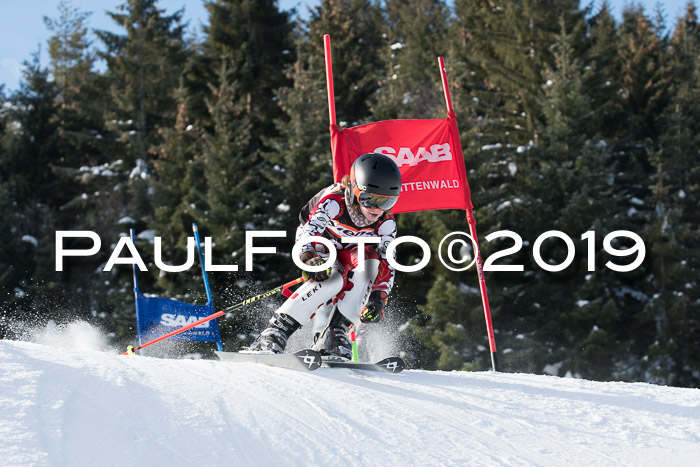 4. Ziener Cup WF, 27.01.2019
