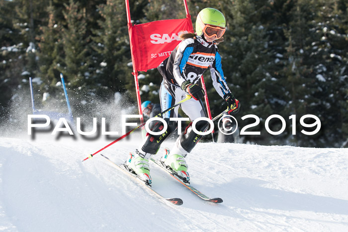 4. Ziener Cup WF, 27.01.2019