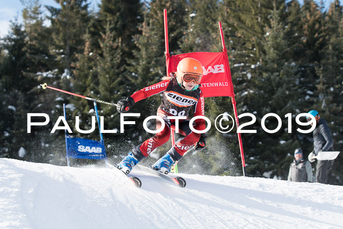 4. Ziener Cup WF, 27.01.2019