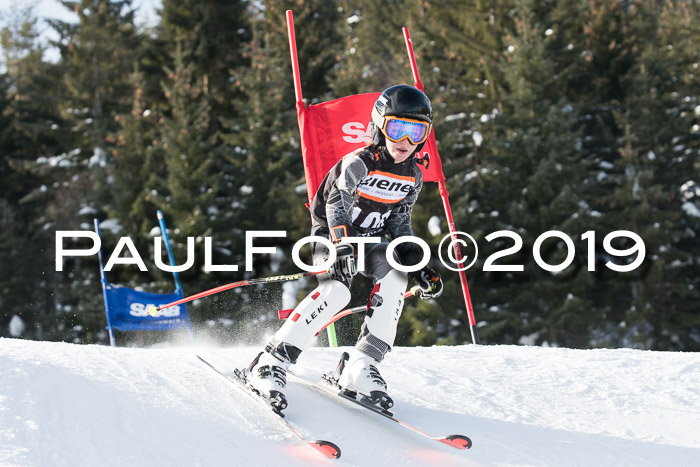 4. Ziener Cup WF, 27.01.2019
