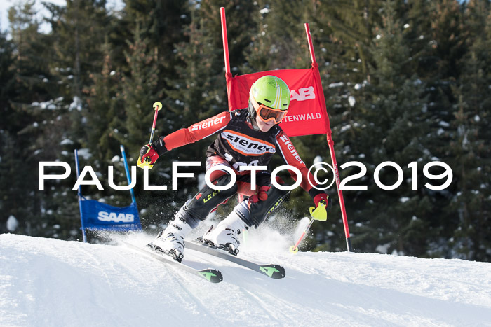 4. Ziener Cup WF, 27.01.2019