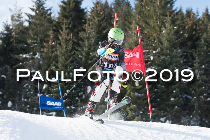 4. Ziener Cup WF, 27.01.2019