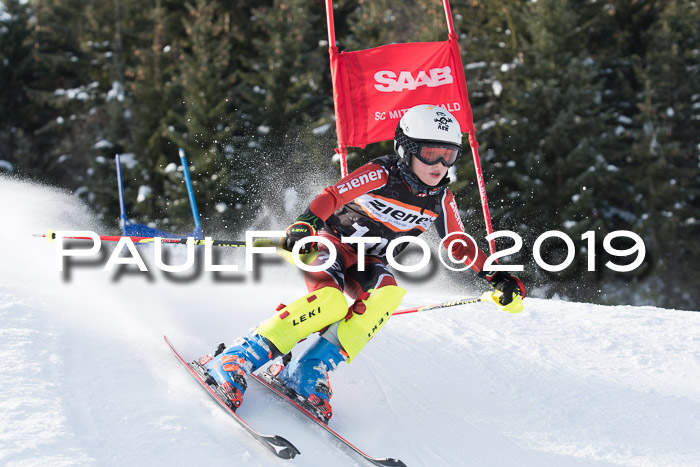4. Ziener Cup WF, 27.01.2019