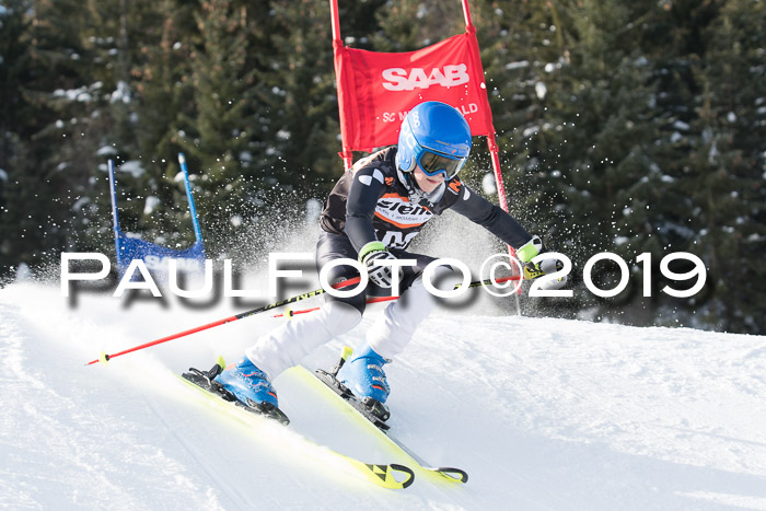 4. Ziener Cup WF, 27.01.2019