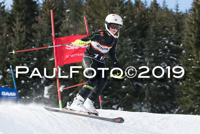 4. Ziener Cup WF, 27.01.2019