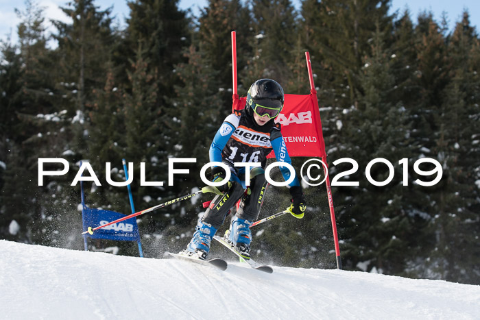 4. Ziener Cup WF, 27.01.2019