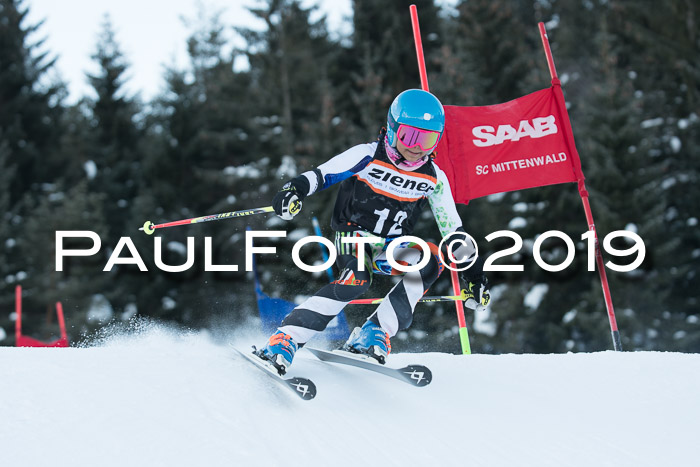 4. Ziener Cup WF, 27.01.2019