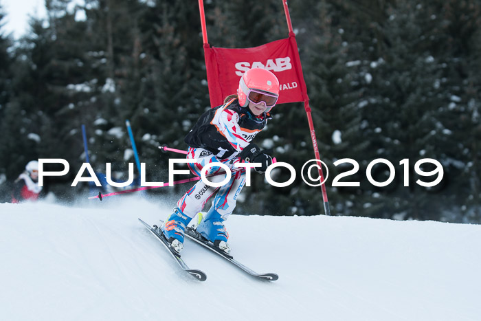 4. Ziener Cup WF, 27.01.2019