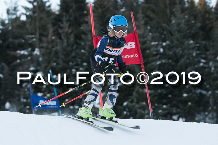 4. Ziener Cup WF, 27.01.2019
